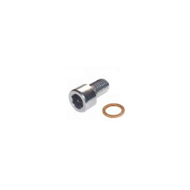 Oliepeil controlebout + afsluitring. (set)